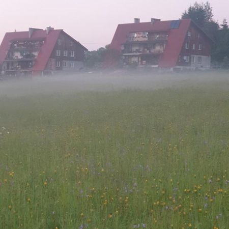 Apartament Wrzos Bieszczady Czarna  Zewnętrze zdjęcie