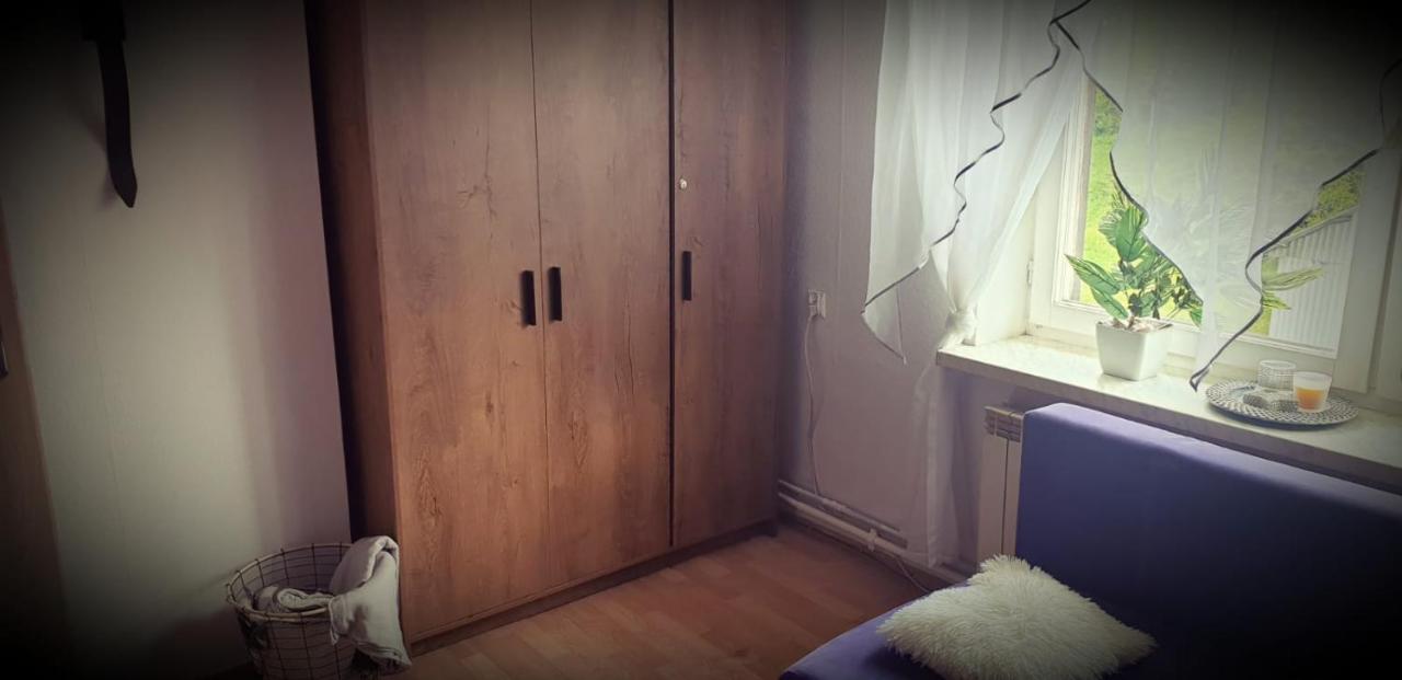Apartament Wrzos Bieszczady Czarna  Zewnętrze zdjęcie