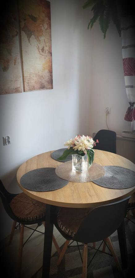 Apartament Wrzos Bieszczady Czarna  Zewnętrze zdjęcie