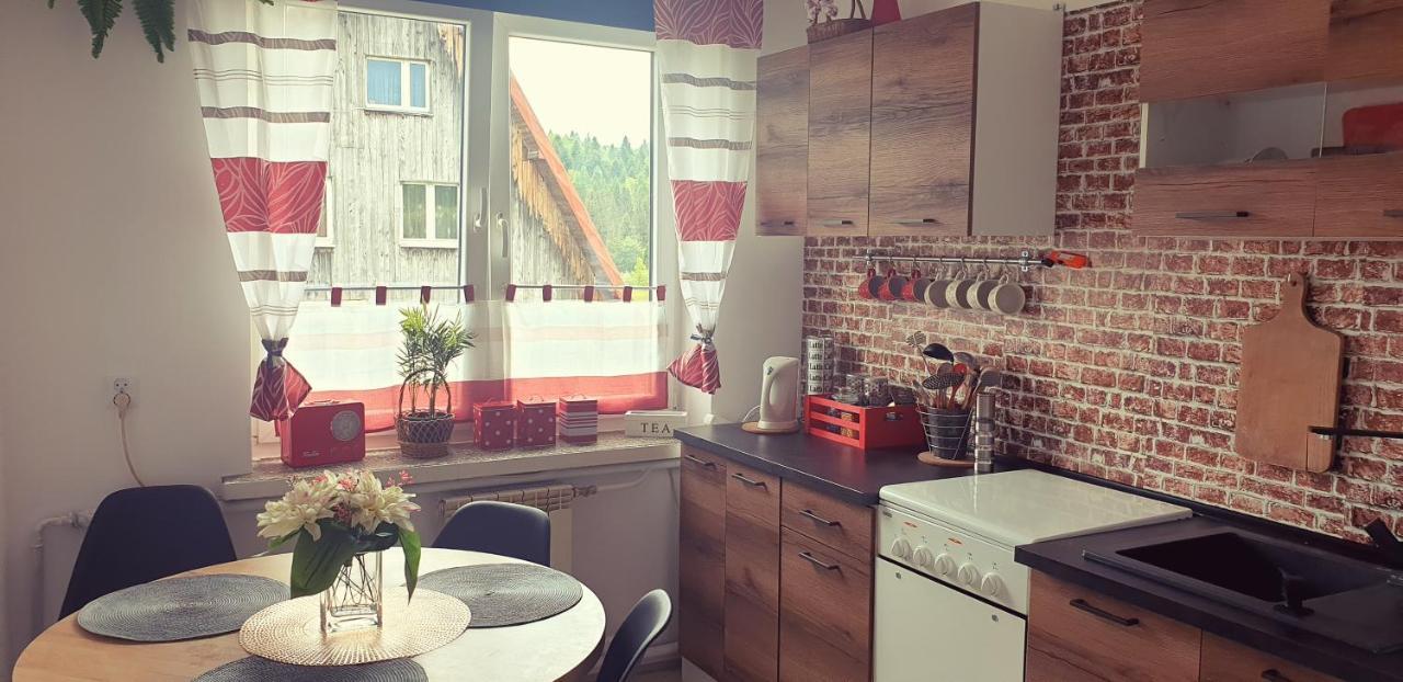 Apartament Wrzos Bieszczady Czarna  Zewnętrze zdjęcie
