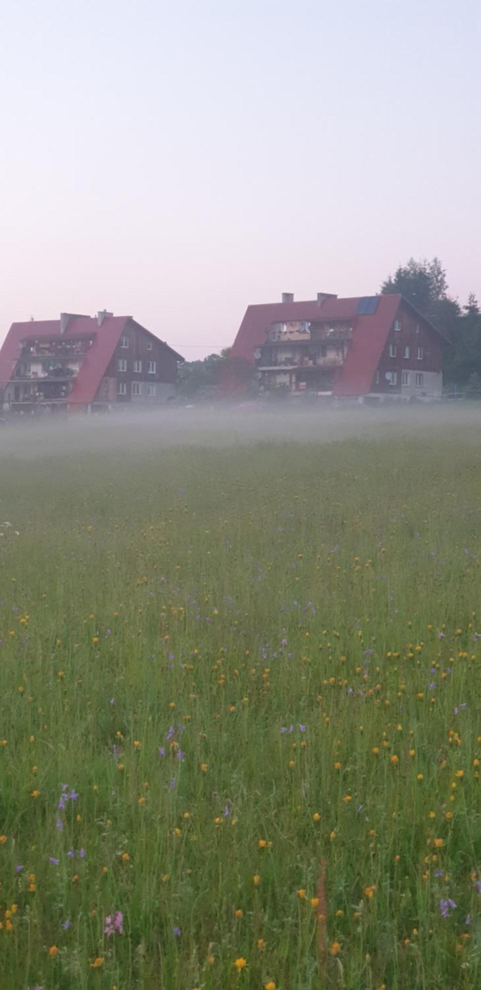 Apartament Wrzos Bieszczady Czarna  Zewnętrze zdjęcie